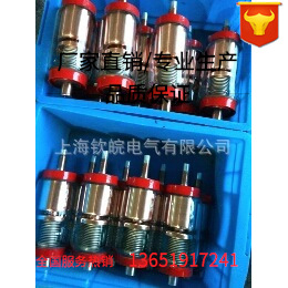 CKG-10/630-S-33高压真空接触器及线圈 真空泡 真空管 CKG-630/10