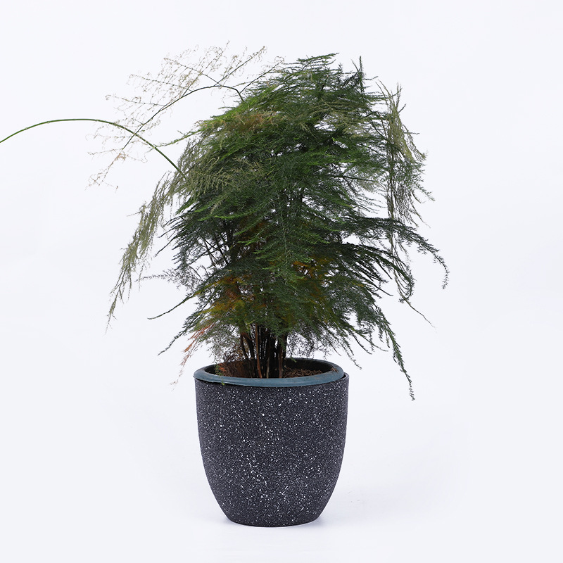 简约个性创意小肉肉盆栽花盆多肉花盆密胺砂绿萝植物粗陶盆景盆详情图5