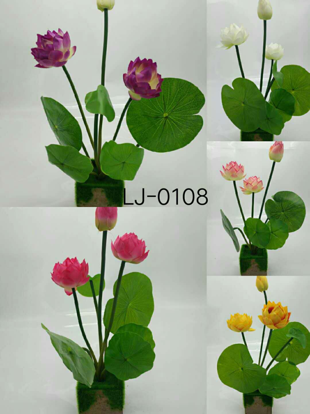 WeChat 圖片_20200705164803