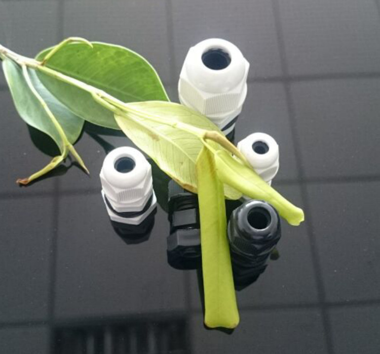 深圳批发pg7防水尼龙接头M12防水电缆螺丝接头现货