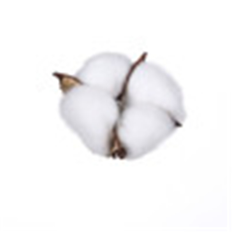 Realistic cotton flower arrangements