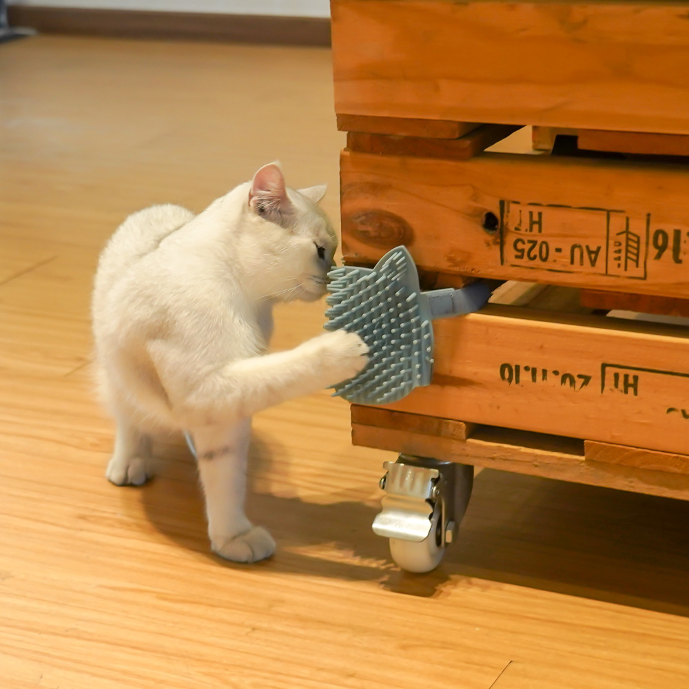 猫咪硅胶蹭痒板 (24).jpg