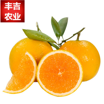 当季水果夏橙伦晚脐橙新鲜水果产地直发秭归伦晚脐橙代发|ms