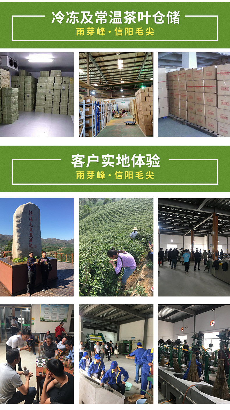 500g信阳毛尖礼盒装_08