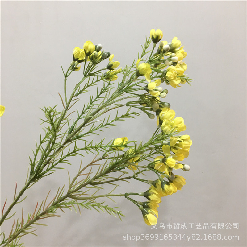 O1CN01MFYoaz2L9IDnO9WyP_!!6834