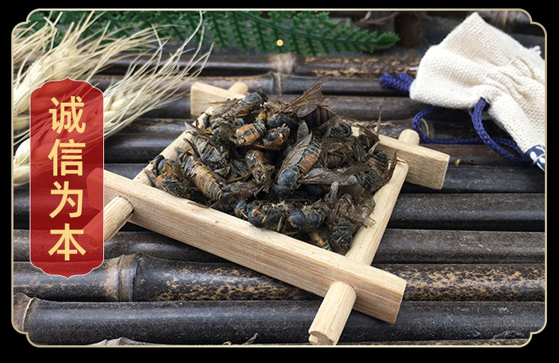 Dried Gadfly Niu Meng Chong Whole Insect Traditional Chinese Herb Bulk 500g in use
