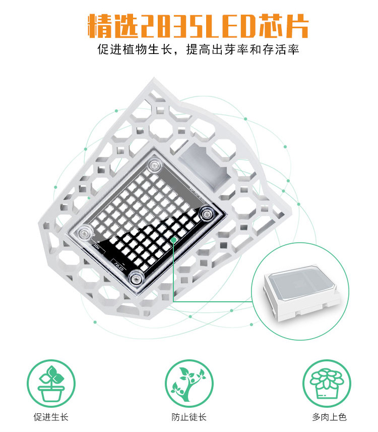 全光谱-植物灯-(阿里巴巴）（红蓝光）详情页_08.jpg