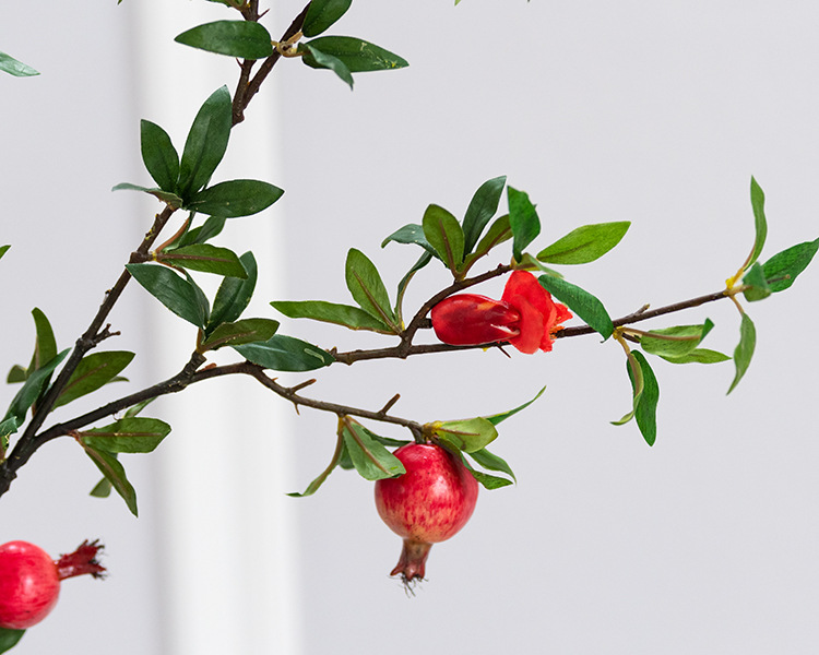 5头石榴带花 红色_04.jpg