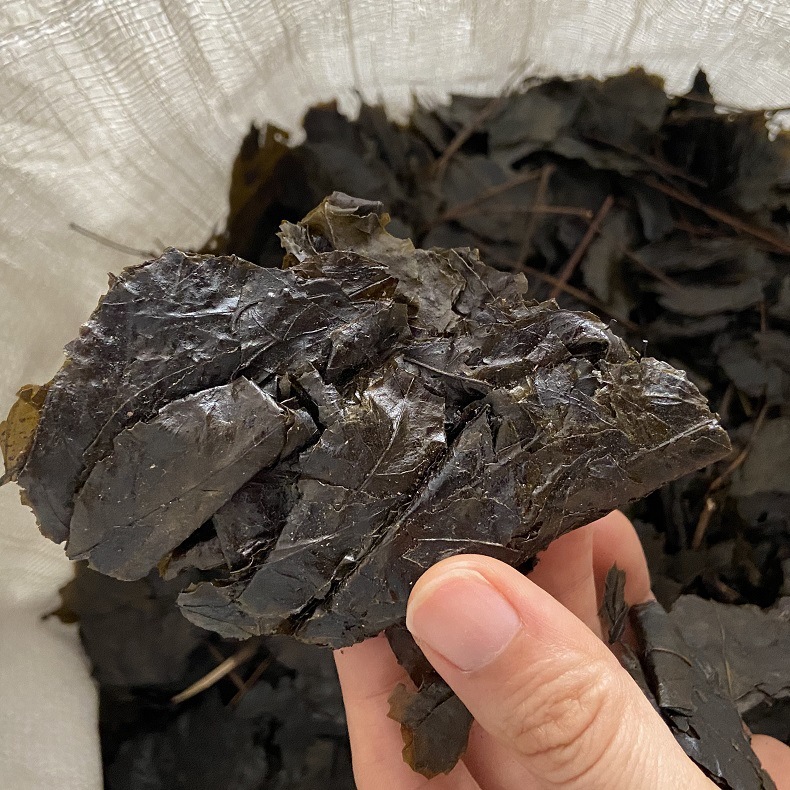 Ku Ding Tea Loose Leaf 500g Bitter Tea Ilex Kudingcha Traditional Herbal Drink specifications