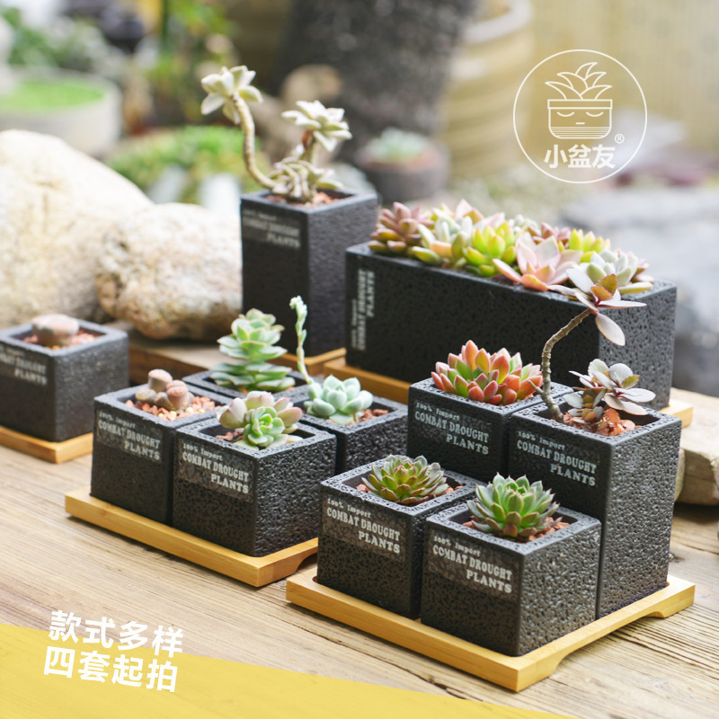 Reprehenderit qui in ea