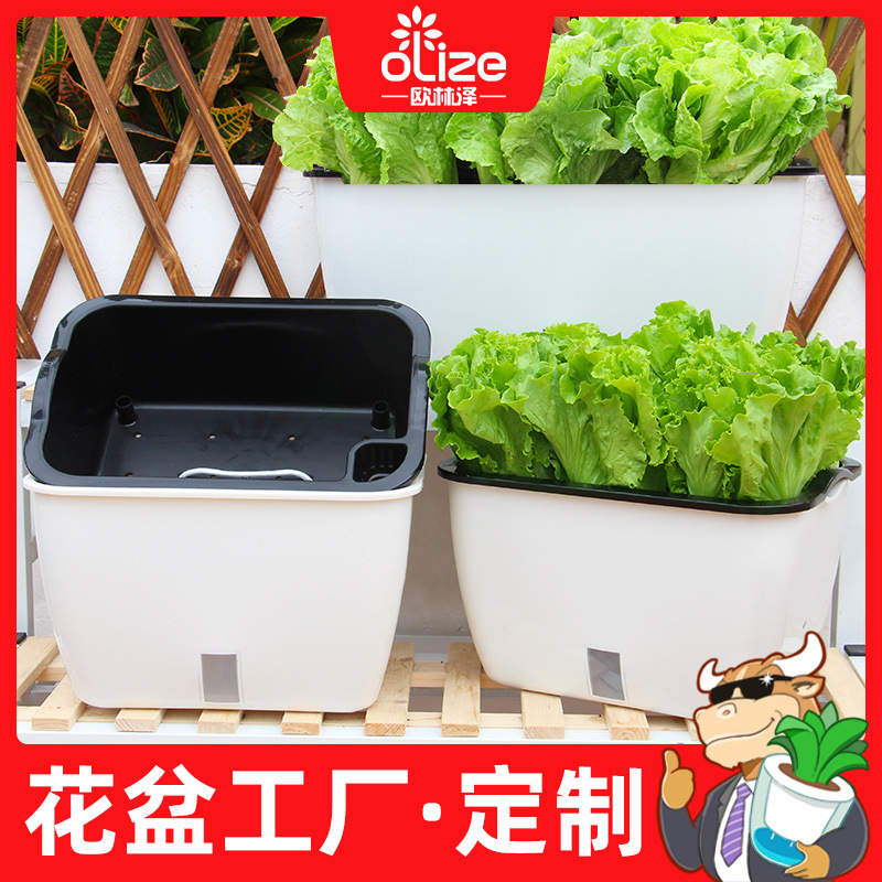 厂家批发大号塑料懒人种菜盆双层花盆草莓生菜可视水位绿萝不占地