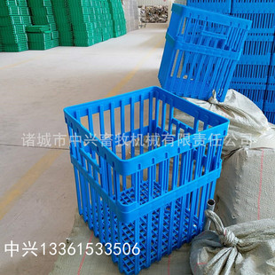 �N���䵰�� ���ϵ��� 42ö����Ӹ�