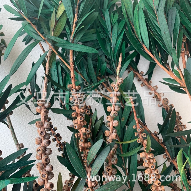 微信图片_20200503194009