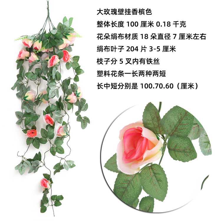 IMG_7049 副本香槟