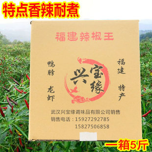 ���������� �u���ø����� ���������������l ӡ��ħ������ ���G�l