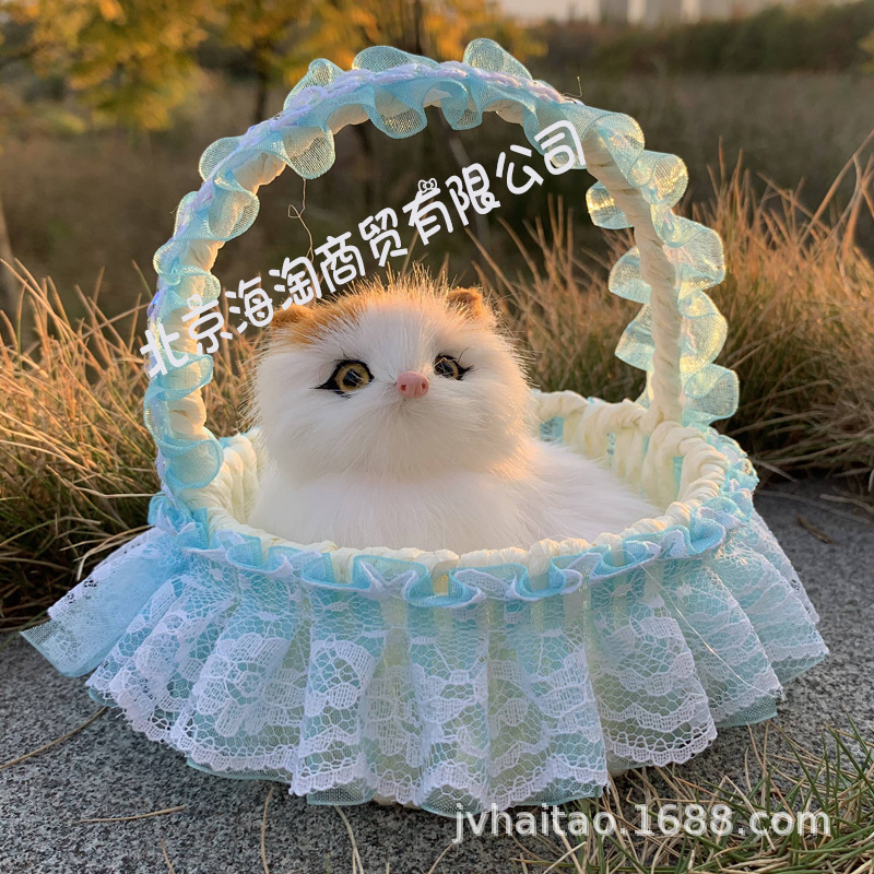 新款蓝色花边蓝