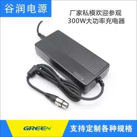 G300-144180园林工具清洁车充电器300W电动工具铁锂18A 14V充电器