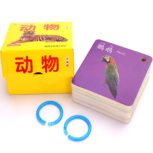 Enlightenment 0123 Years Old Cognitive Kindergarten Preschool Waterproof Baby Literacy Cards Tear-Resistant