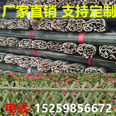 Bamboo Manufactor Direct selling Springboard Bamboo raft customized greenhouse Bamboo Crop fixed Bamboo Bamboo Piling Scaffolding