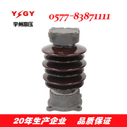供应ZSW-20/8  ZSW-20/10绝缘子