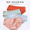 new pattern Middle-waisted lady Underwear Triangle pants ventilation comfortable Self cultivation Youth lady Underwear Manufactor Direct selling