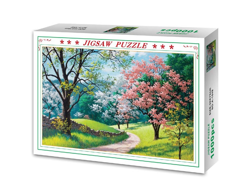 1048-乡间小路Spring-Country-Road-.