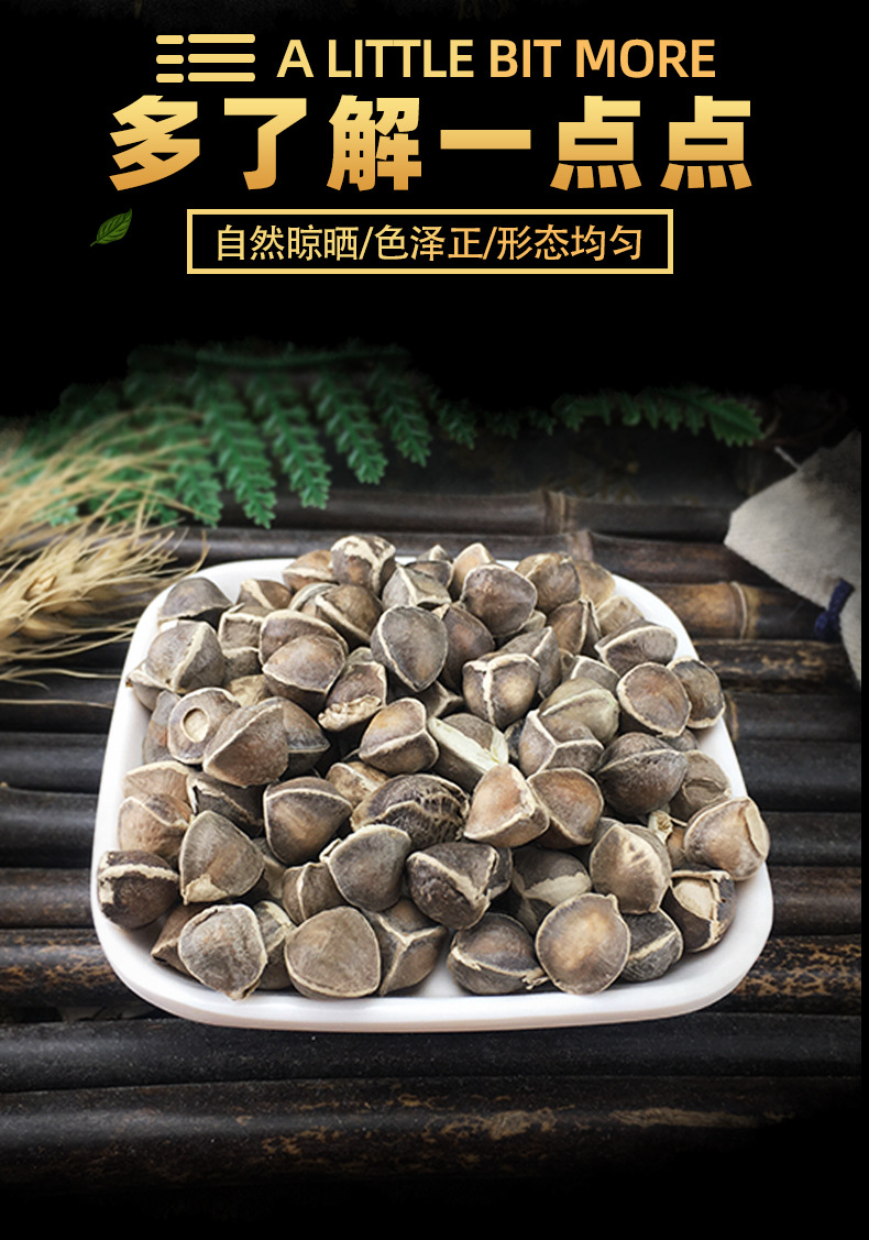 Moringa Seeds La Mu Zi 辣木籽 Dried Whole Seeds 500g Bulk Herbal Botanical key features