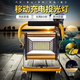 防爆灯;投光灯;LED装饰灯