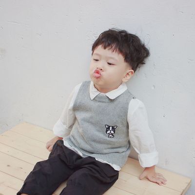 Kids vest 2021 Autumn and winter New products Boy Mianshan Socket knitting Sweater Cartoon dog Embroidery Korean Edition vest