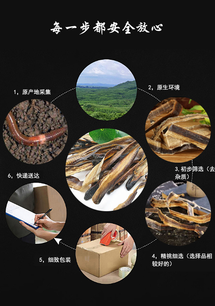 Di Long (Pheretima) Dried Earthworm Herb — Split & Washed 250g in use