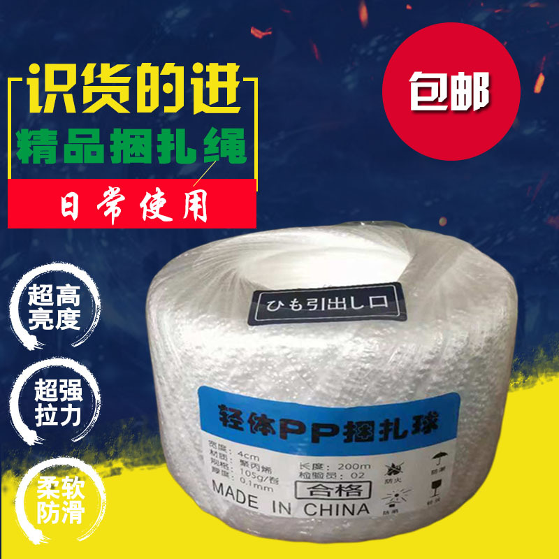 Manufactor Since sales New material Strapping PP Plastic white Nylon rope Plastic strapping tape