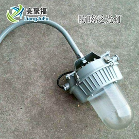 防爆灯;LED装饰灯;投光灯