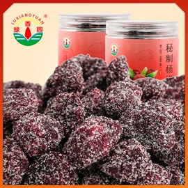 其他果干蜜饯;梅类;陈皮果脯