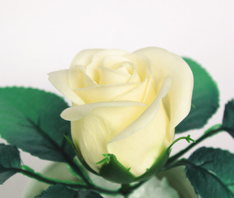 一键复制_20200227134215