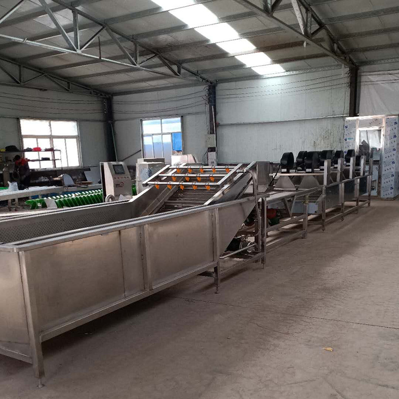 厂家供应白菜清洗机 菠菜清洗机 不锈钢果蔬清洗机厂家供应