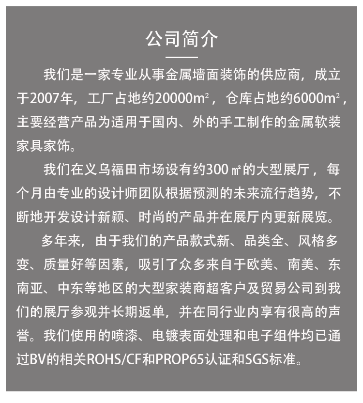 ins田园仿真绿植玻璃花瓶铁艺壁挂 创意家居房间玄关书房墙面装饰详情图13