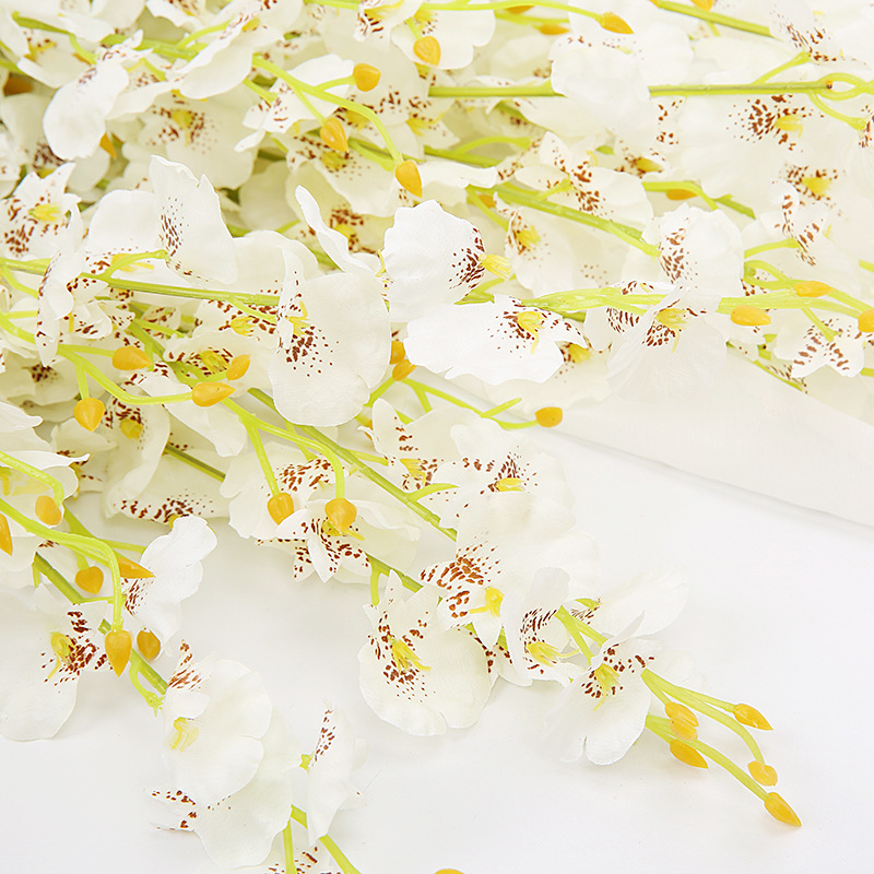 9050756275_466098134