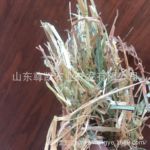 澳洲燕麦奶牛饲草优燕麦草宠物草料饲用牛马羊牧草饲料