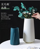 Imitation of ceramic vase Creative Nordic Plastic color vase Living room Powder Hydes Hydroponic Creative Putch Press wholesale