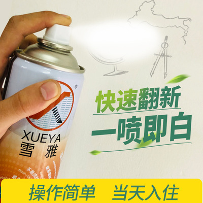 雪雅自喷漆墙面美白修复水性环保补墙漆补墙膏家用乳胶漆可代工