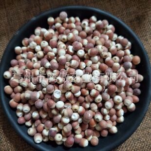 ���l�͌�ȫ���͌����͌��͌��u�^���͌��Ҝ����|500���͌���