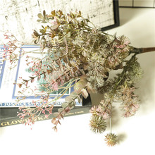 �͹����f��ϵ�nʽ�����������ٽz���ȼ����L�Gɫֲ��Ҿӻ�