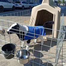 ������� ���챣ů ţ�à�ţ�u С��ţ���ñ��ط��Ϊ�ţ���Bֳ�O