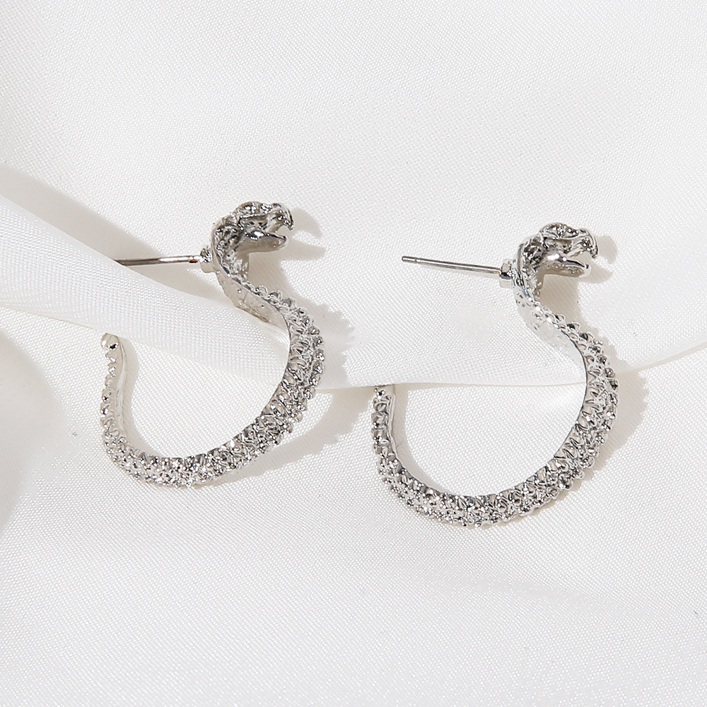 Retro Snake-shaped Long Earrings Wholesale Nihaojewelry display picture 11