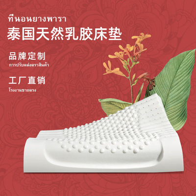 【Purnelatex】工廠直銷批發泰國天然乳膠枕成人單人按摩乳膠枕頭