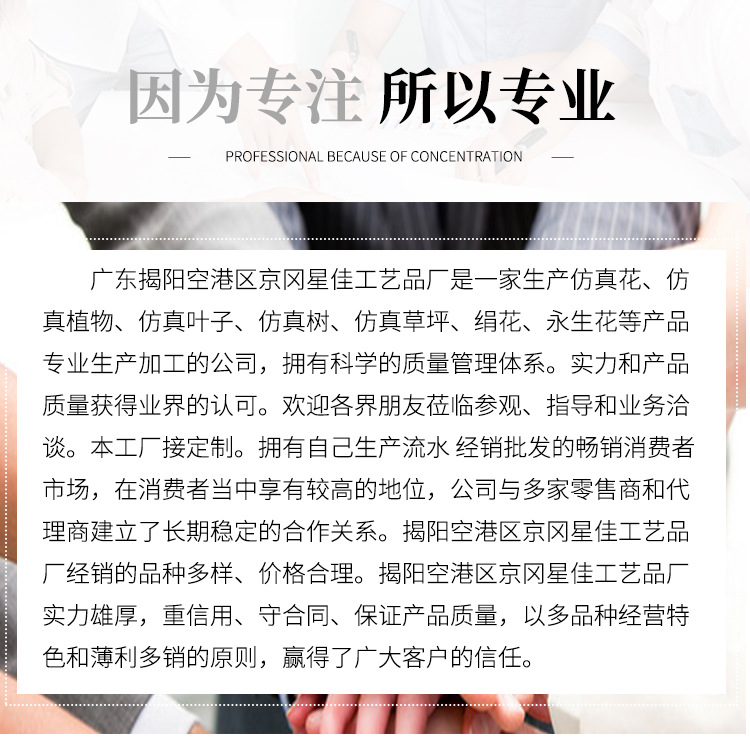 10头轩尼诗山茶花_11