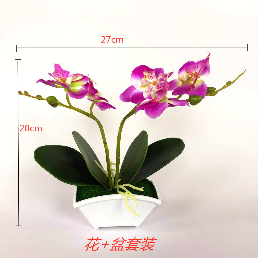 仿真植物盆栽假花盆栽厂家直供5朵蝴蝶兰小盆栽绿植小盆景摆件