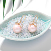 Summer South Korean silver needle, goods, earrings, fashionable zirconium from pearl, silver 925 sample