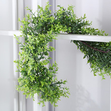 �羳�����ٗl�~�� ����ֲ����ɽ������������ �F�����ϻ��ټҾ��b