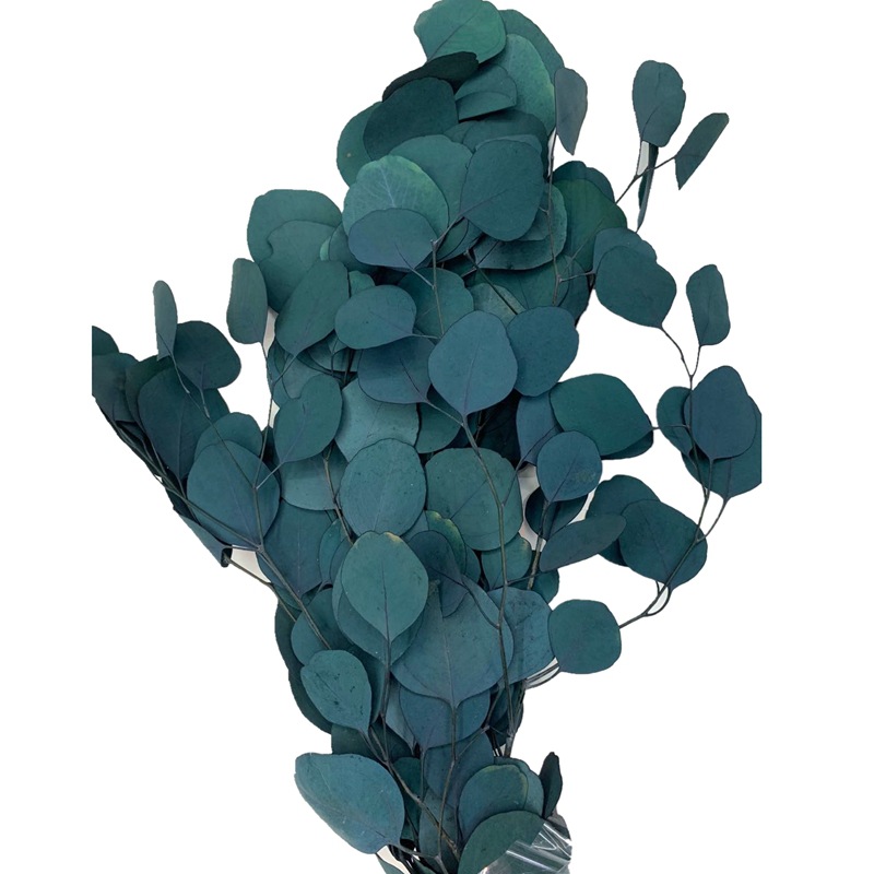 微信图片_20200414161904